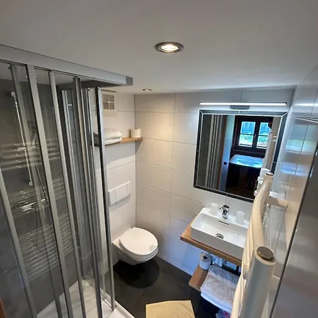 Apartment Blashof Seit 1693 - Schladming